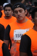 F1229163