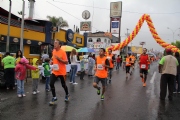 D1234252