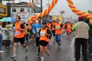 D1234661