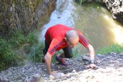 C1246222