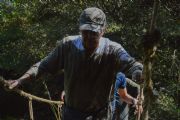 H1257756