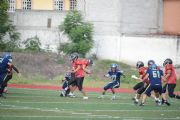 Patriotas VS Lobos