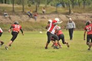 F1243604