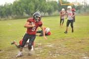 Patriotas VS Alimañas
