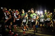 Q1254331