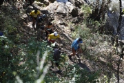H1252830