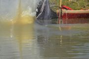 S1256375