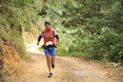U1290410