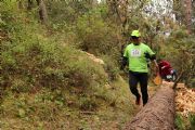 I1289655