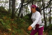 P1291366
