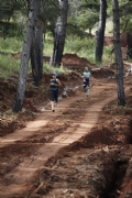 E1278317