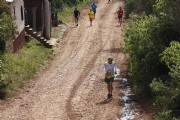 P1278446