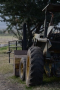 G1308873