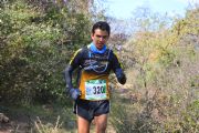 O1304461