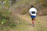 W1303837
