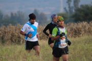 V1299319