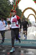 J1310163