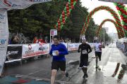 Q1310643