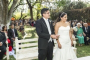 V1312495