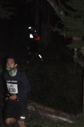 D1338599