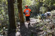 E1339227