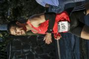D1338407