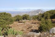 B1344857