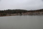 B1356914
