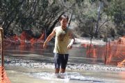 T1341571