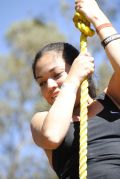 Q1343775