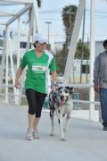 L1354643