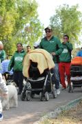V1355383