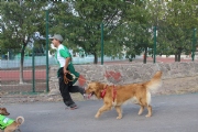 K1350896