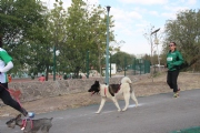 L1351917