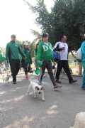 Y1350729