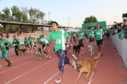 B1352711