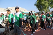 G1352547