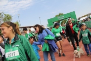 T1353101