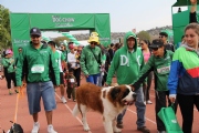T1353290