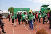 T1353305