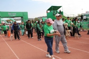 T1353666