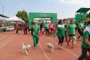 T1353870