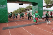 U1354003