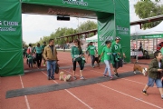 U1354041