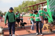 X1353376