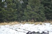 J1358611