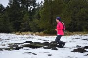 K1358332