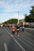 F1369518