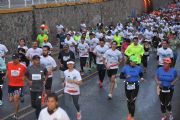 E1371446