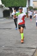 V1371551